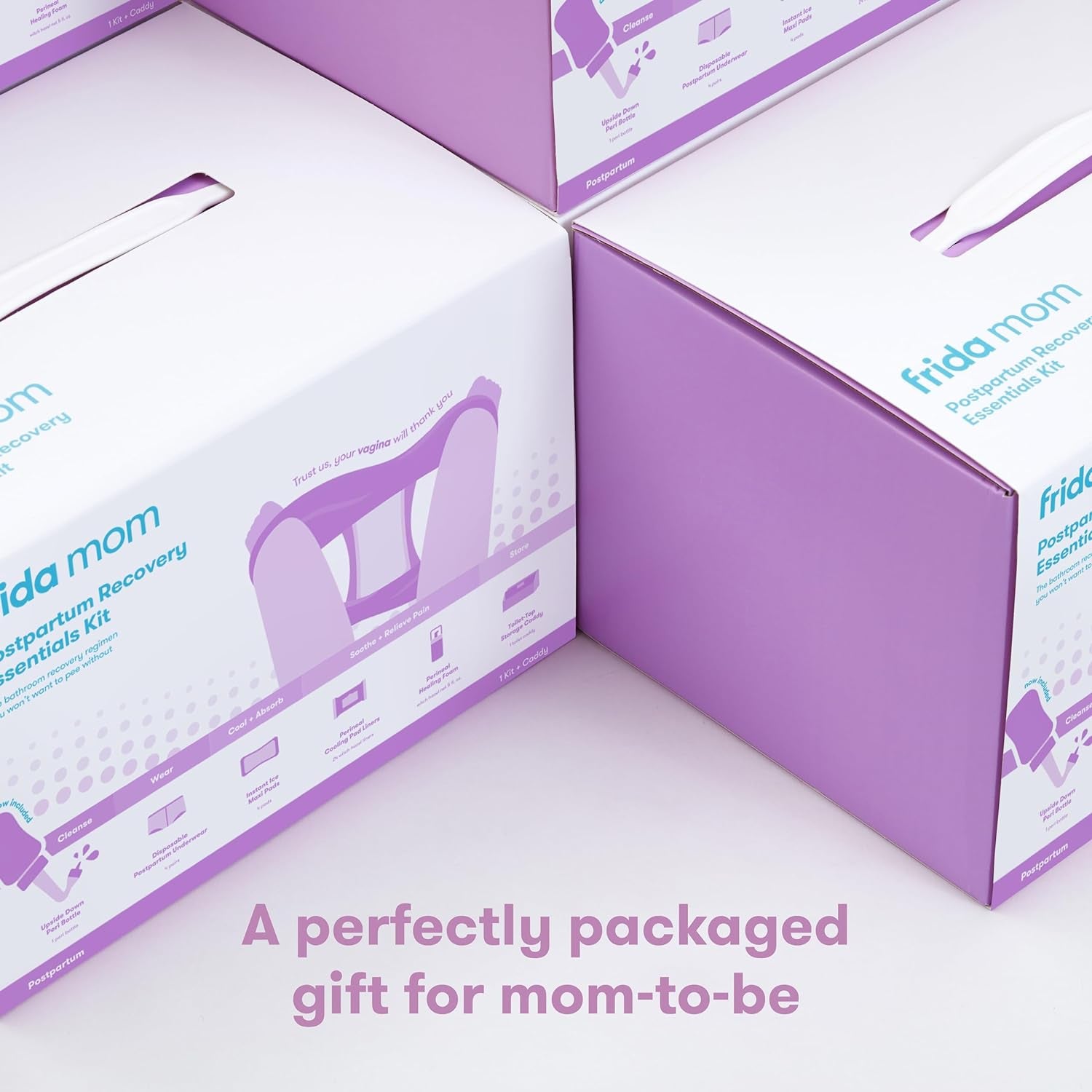 Frida Mom Postpartum Recovery Essentials Kit, Includes Disposable Underwear, Instant Ice Maxi Pads, Perineal Healing Foam, Perineal Healing Pad Liners and Upside down Peri Bottle (11Pc Gift Set)