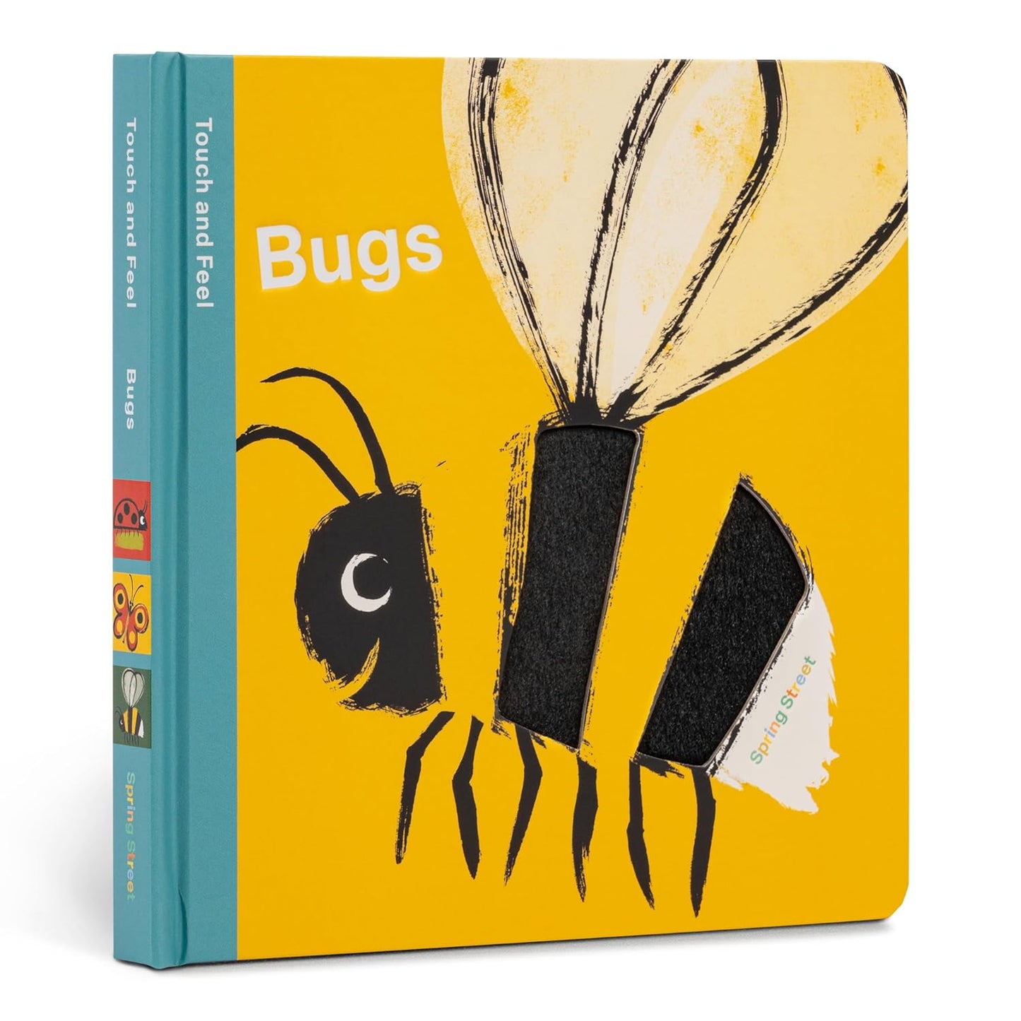 Spring Street Touch and Feel: Bugs