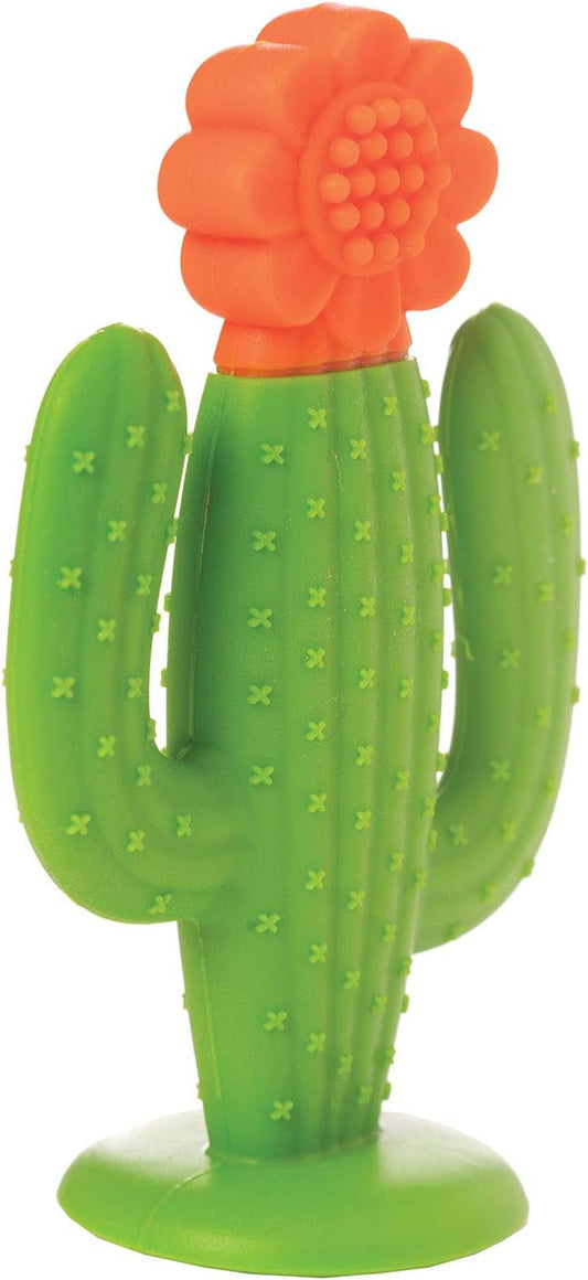 Manhattan Toy Cactus Textured Silicone Teether Multi