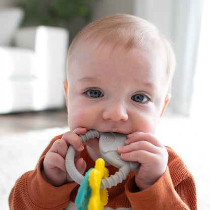 Dr. Brown'S Learning Loop Fox, Baby Teether Ring with Multiple Shapes & Textures, Soft 100% Silicone, BPA Free, 3M+