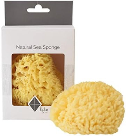 Kyte Baby Natural Sea Sponge, 4 to 5 Inches