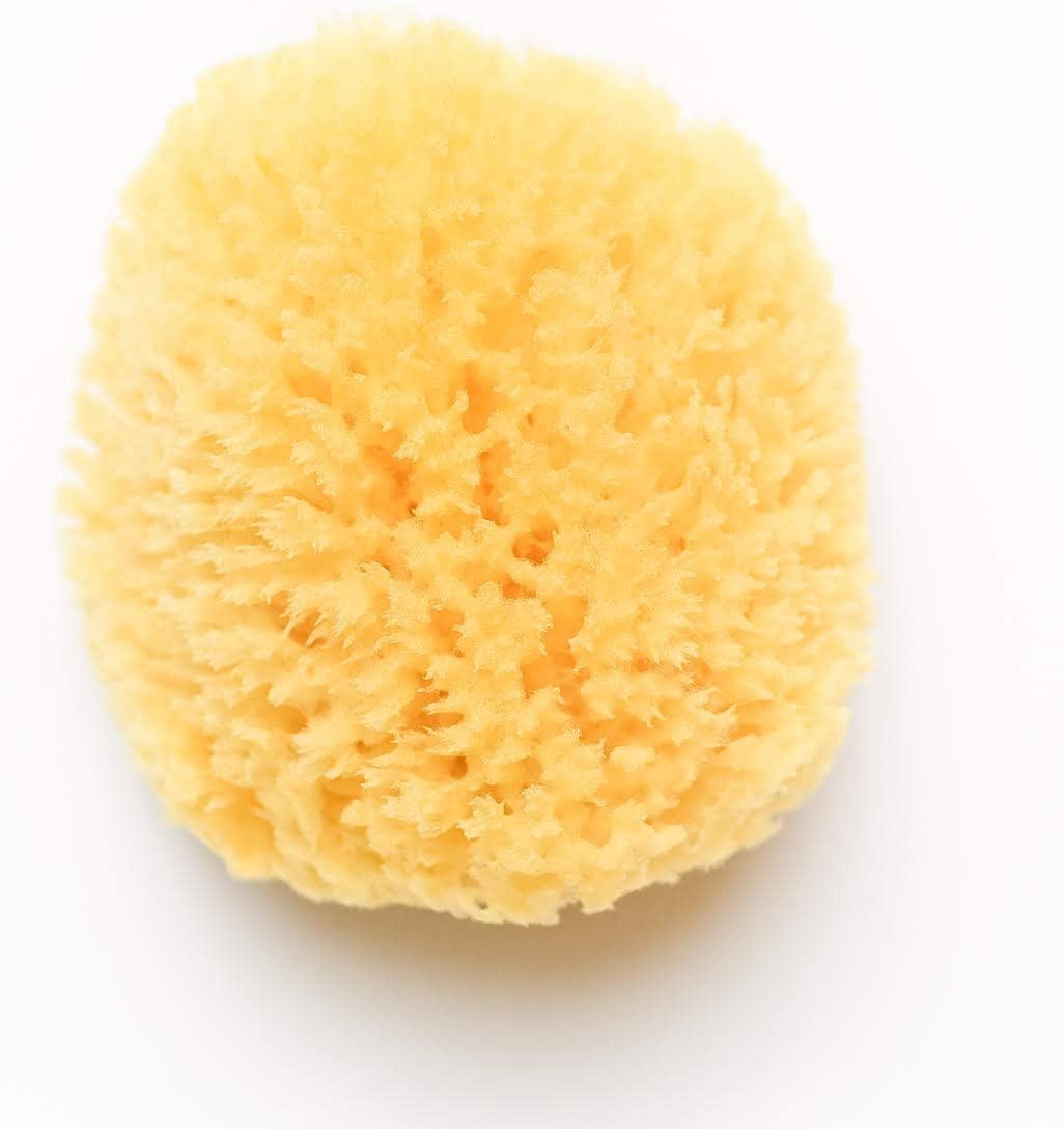 Kyte Baby Natural Sea Sponge, 4 to 5 Inches